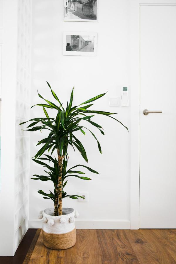 Eco Villa Do Adro Porto de Mós エクステリア 写真